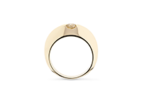 Zeldzaam, een eigen ontwerp van Juwelier van Velthuysen